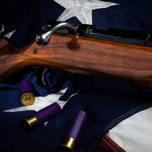 Bolt Action Shotguns